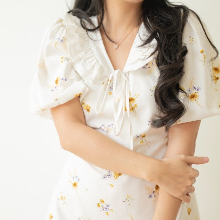 Lolliestory Hassie Mini Dress