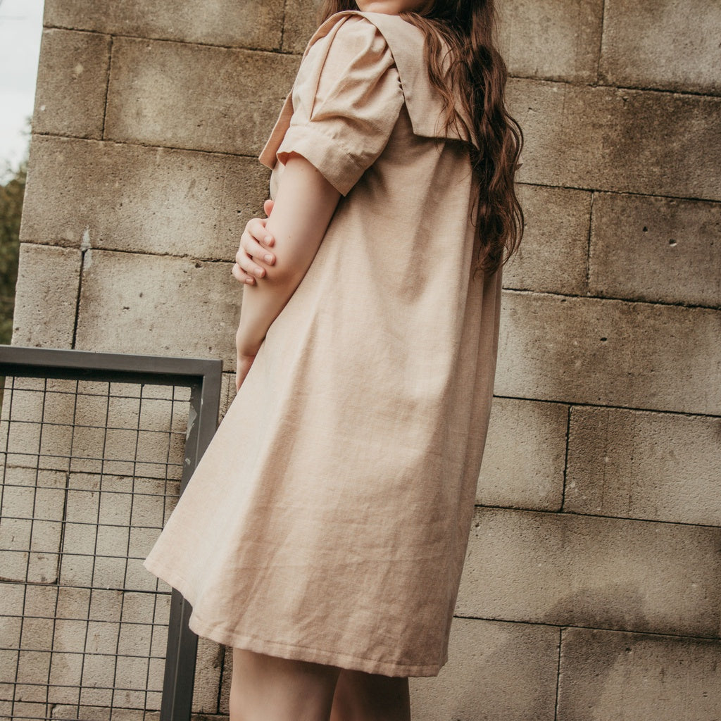 Lolliestory Aldyna Collar Mini Dress